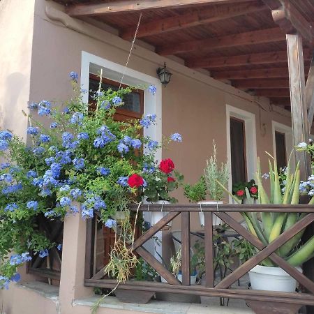 Plumbago Apartment Theologos  Buitenkant foto
