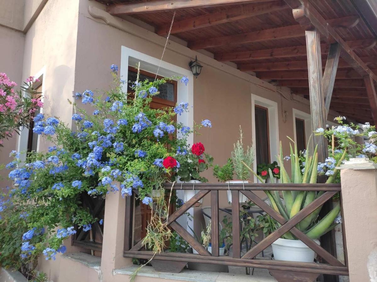 Plumbago Apartment Theologos  Buitenkant foto
